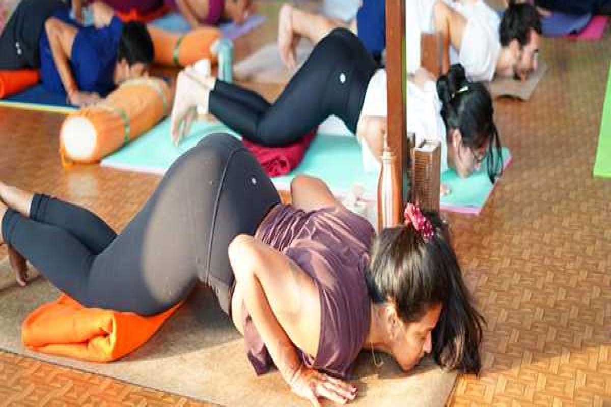 Start Your Yoga Journey with 200-Hour Teacher Training in Rishikesh