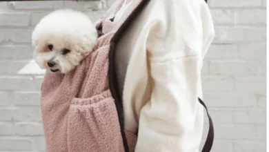 dog travel suitcase