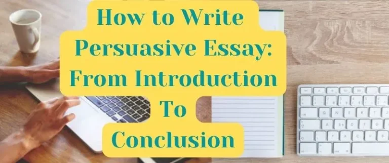 essay on persuasive writing