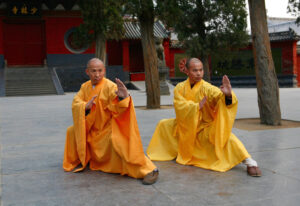 Meaning of Shaolin