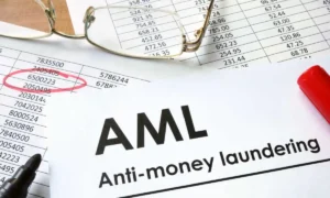 anti money laundering consulting services