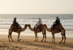 Sunset Camel Ride in Essaouira: Complete Travel Guide