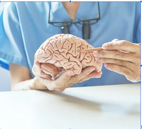 Screenshot 2026-08-17 151308 best neurologist in Delhi