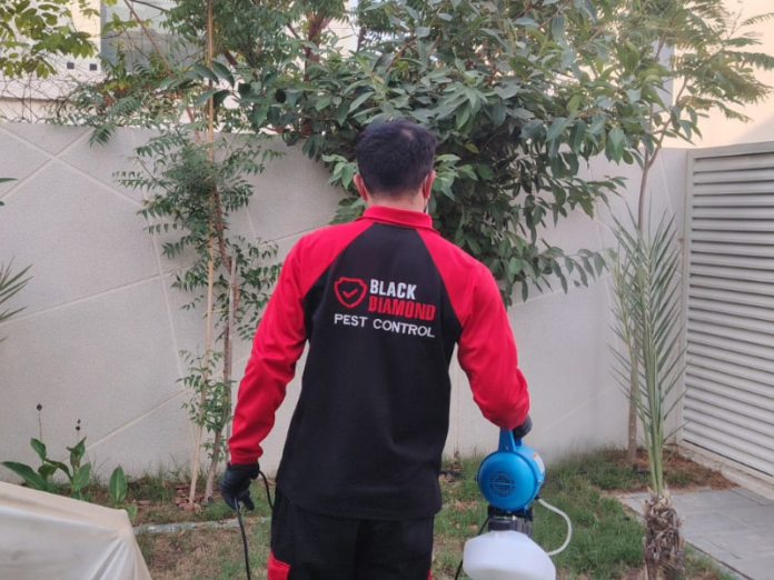 Mosquito control Abu Dhabi (2) ant insfestation abu dhabi
