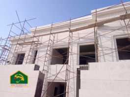 technical services