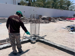 termite-control-in-Abu-Dhabi