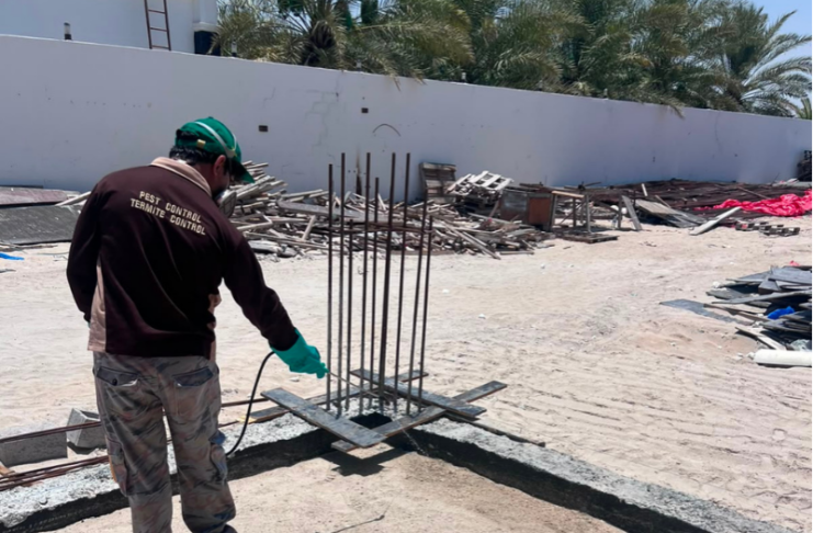 termite-control-in-Abu-Dhabi