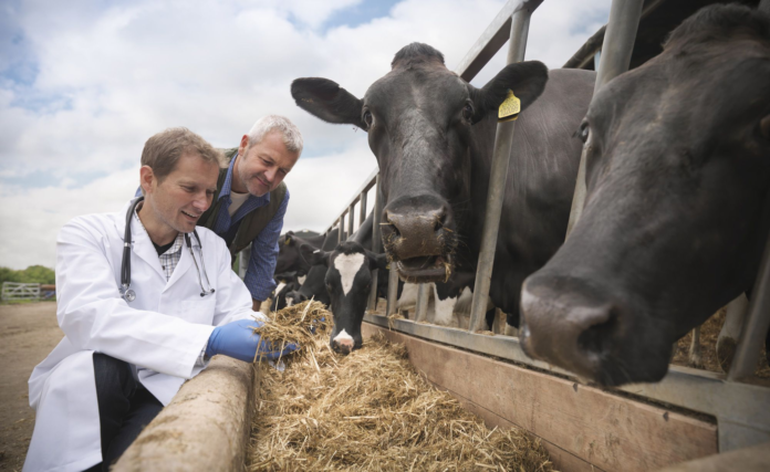 Third Party Veterinary Medicine Third Party Veterinary Medicine
